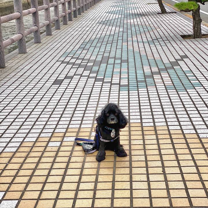 6e4e07f9 ddc9 4470 a50f 503a22e854cf 1594553345997