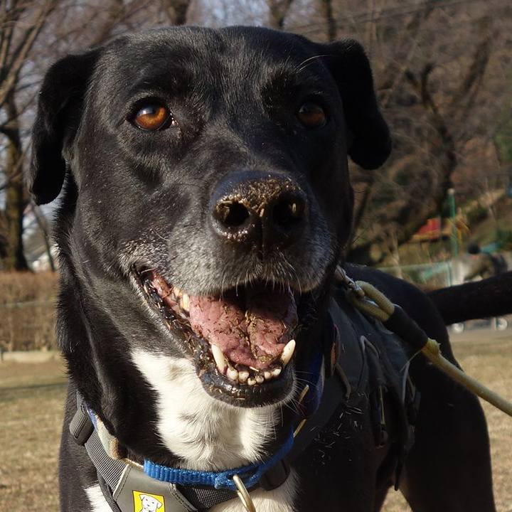 6e4e0976 d486 488a a99c 7842b8e2ee10 1646960644184