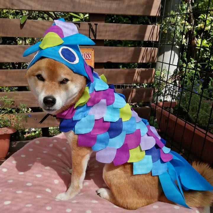 6e4e0c0c 6725 461f bb25 123ca2b111a8 1619848956193