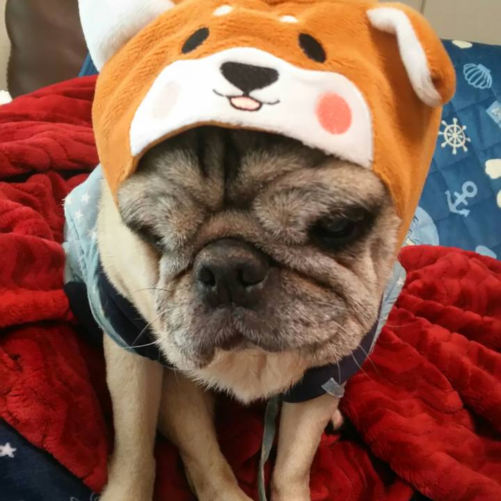 6e4e1107 189e 4270 85db ee91694550e0 1546691642570