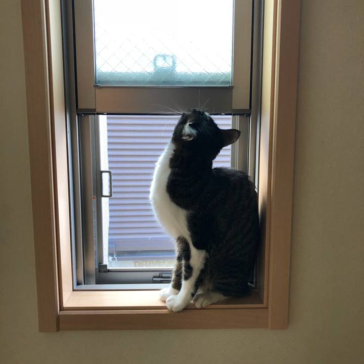 6e4e4af5 cc12 48ef aee1 218f1665b7b9 1518090283063