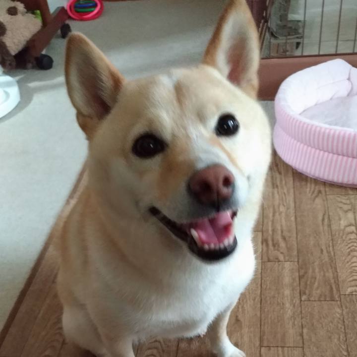 6e4e6dae 54a6 4018 84f3 b9273ca4f18f 1599948924840