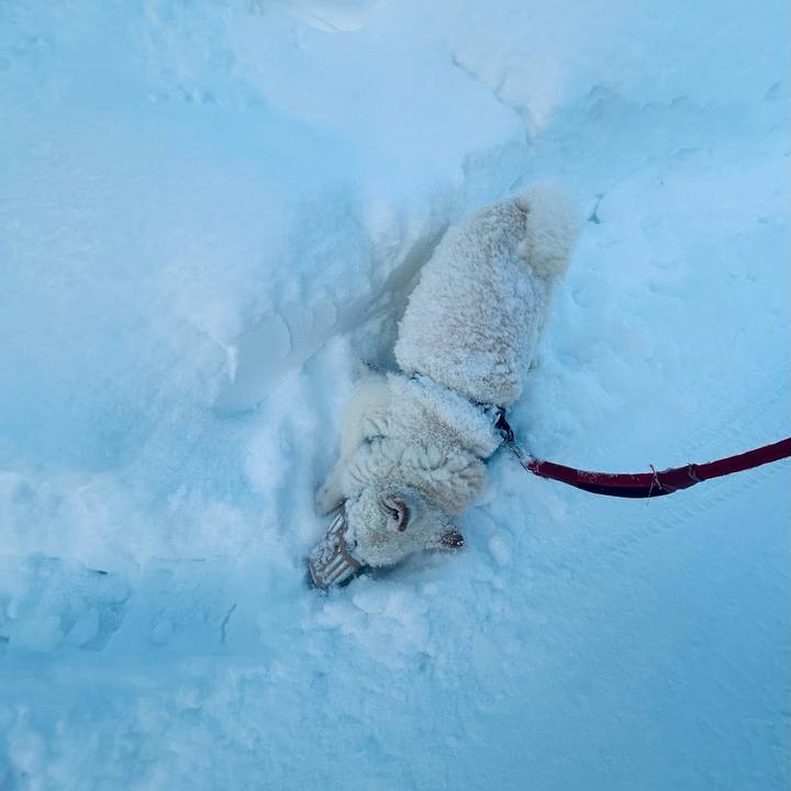 6e4e70a9 ba99 44f1 b103 0ccc03c4ff05 1738543985480