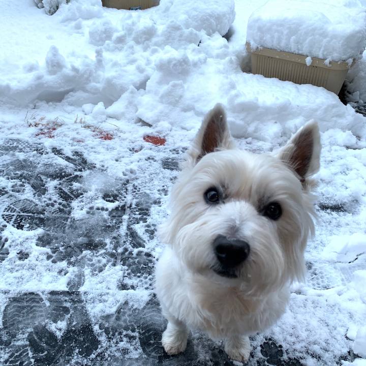 6e4e7ee9 0817 4e15 9d07 895071902986 1577416112556