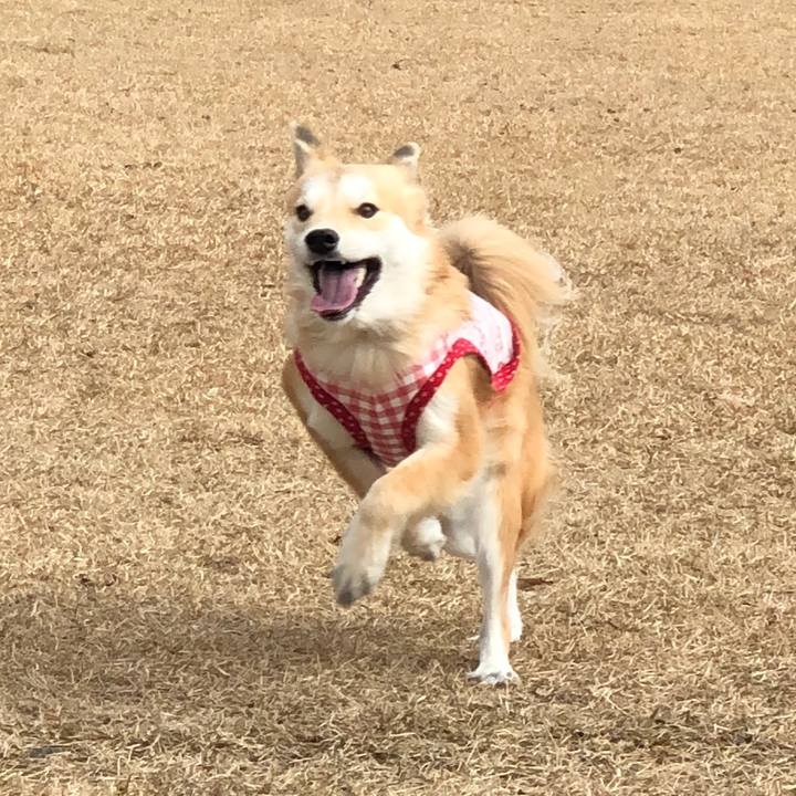 6e4e9e88 0678 46c5 ac6a 32d80924beab 1548321260867