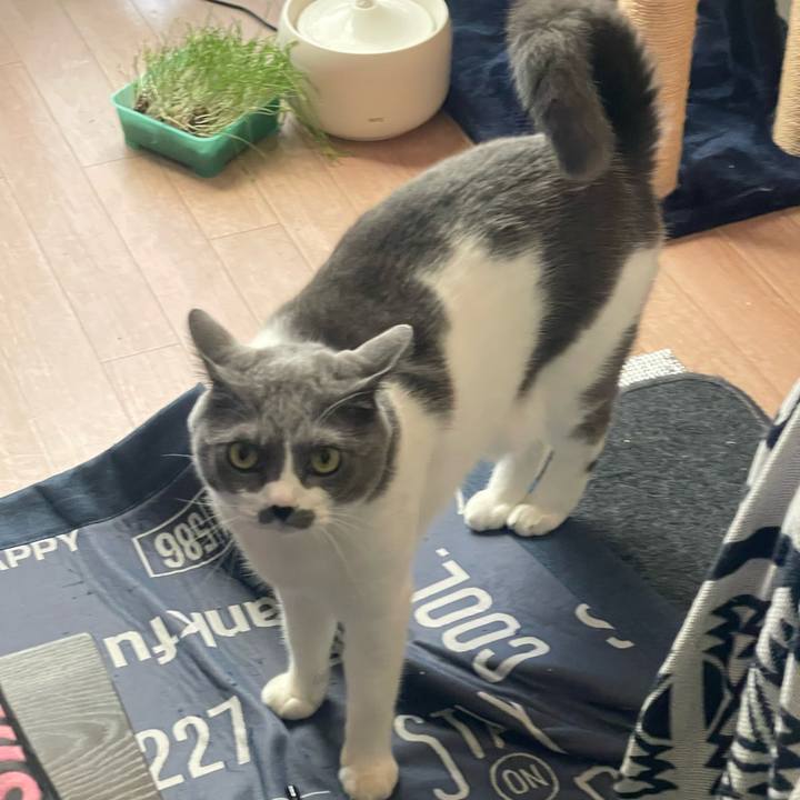 6e4ec14d c8c7 49d8 8340 b30c63ad892a 1733439104916