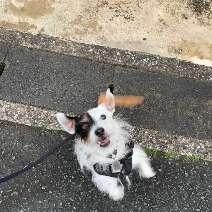 6e4ee1cf d4b6 4670 b7dc f3454be0d8bb 1674801141280