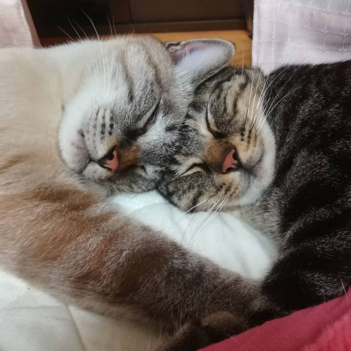 6e4f137e 4413 40c0 9f97 66a173b71cc2 1538055585028