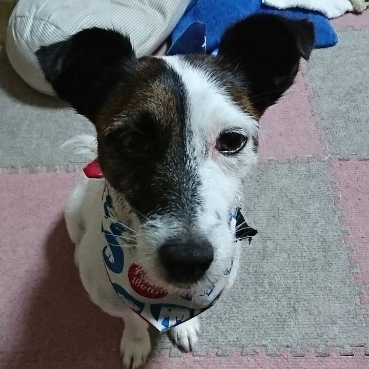 6e4f1840 0d2a 4414 8d4b 7eb1bd6a5cdd 1532351877472