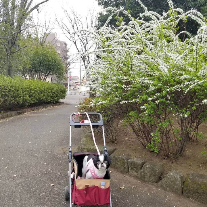 6e4f2a26 5f0f 491e 81ee dc04b258a272 1584873705643