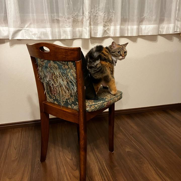 6e4f2abf 4317 4a34 9443 9ee11bf32602 1775530159852