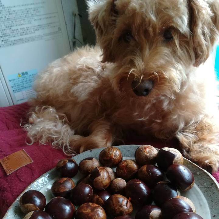 6e4f6c21 1bde 46e5 ad70 64bdf12e9f63 1537574471999