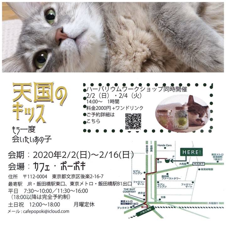 6e4f73d1 9398 4ecb 9732 02199d5cb239 1580703055664