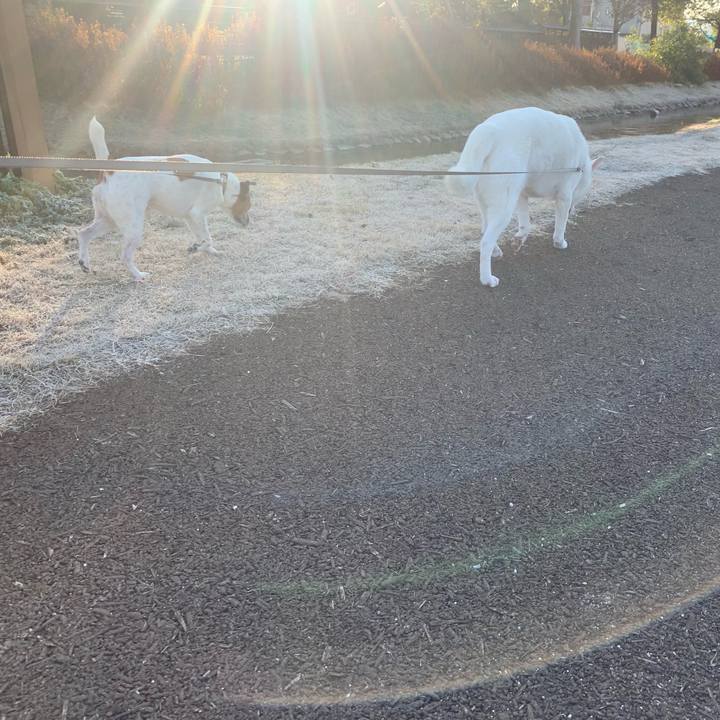 6e4f8e11 8414 4d27 96b1 2b66772e7c56 1546353461195