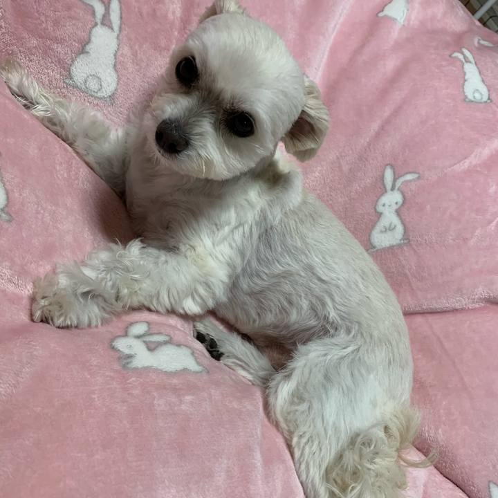 6e4fa999 2780 4fe8 9d1f 62d061924815 1605437548241