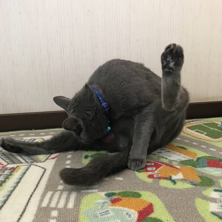 6e500b53 b441 43d5 a993 70ae7bb586a8 1525131741778