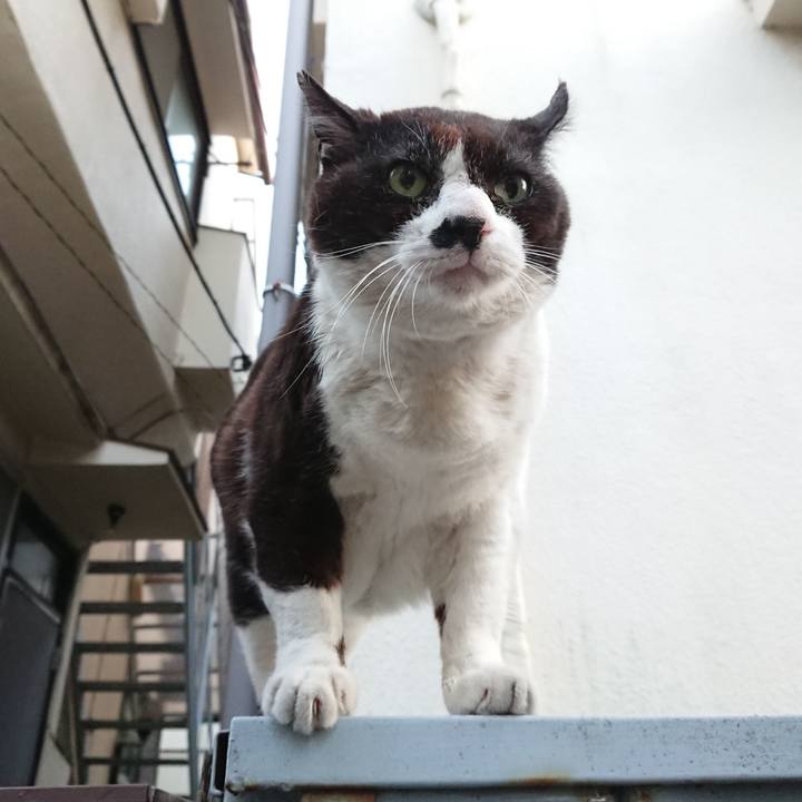 6e506ea2 c591 43bd a096 38031a57d127 1653733638170