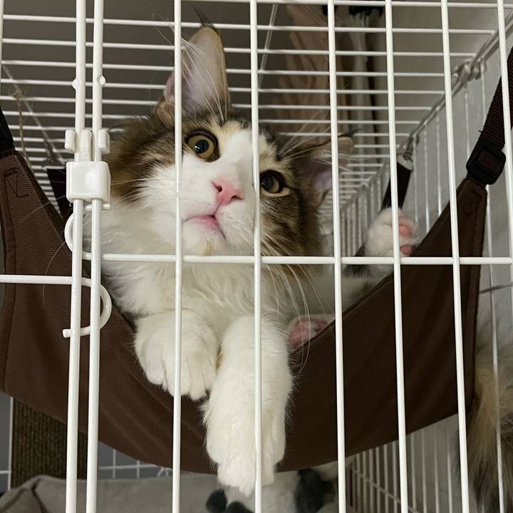 6e5081eb 62ac 45d8 abb9 c1b9f1970c5f 1636623171601