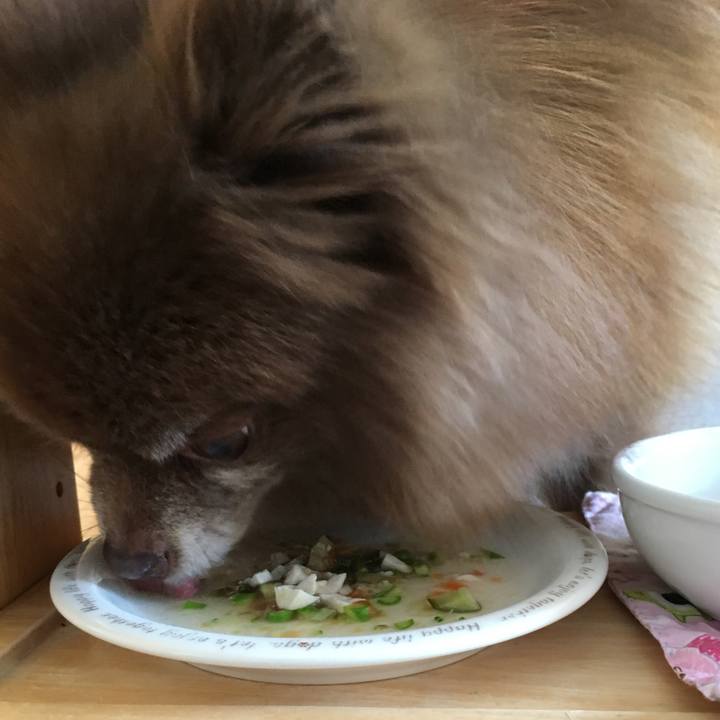 6e509530 d7f8 4c69 bbbd f9b41ce9c4c9 1525154939843