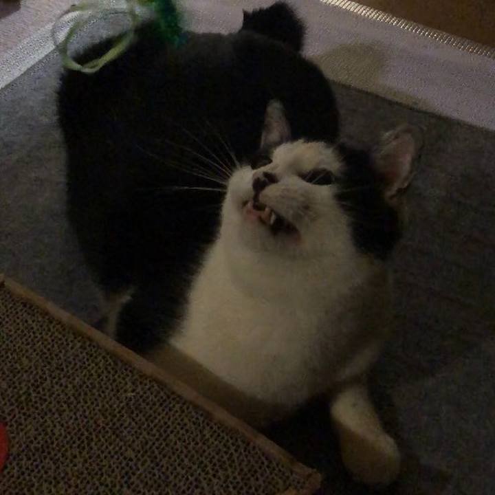 6e50da54 1a3b 4944 a6d3 48a17c1f911a 1552314686620