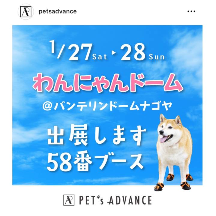 6e512f6e 45b9 4e18 a759 1bfa92fed78a 1705145673778