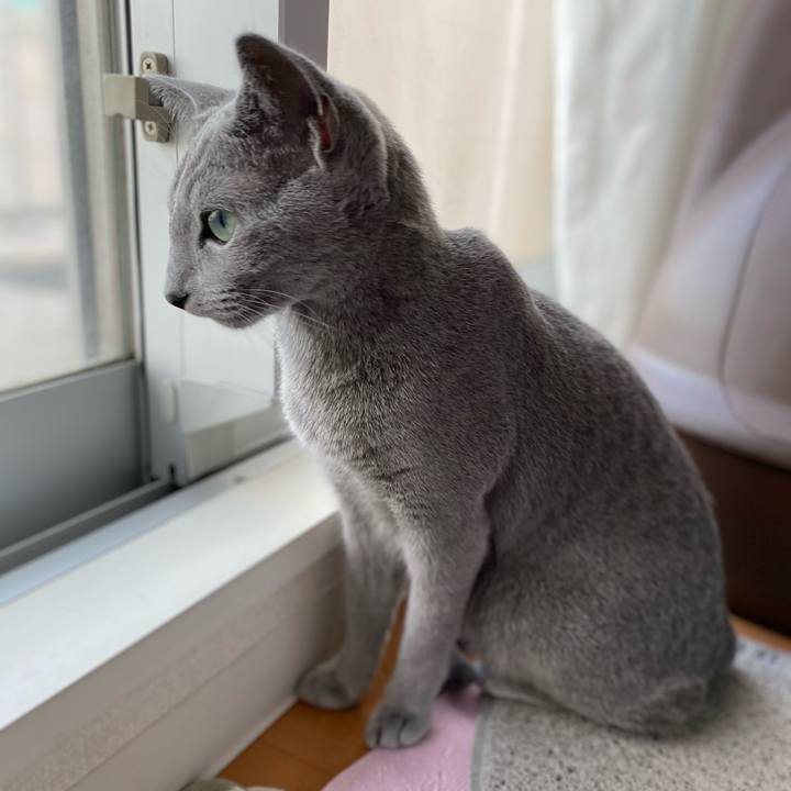 6e513058 d1c3 4ef7 8473 6b81aa031a4d 1627037821523