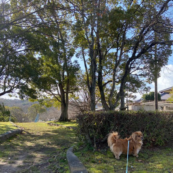 6e517b79 e036 4b86 9192 87ff64a1653f 1584663293187