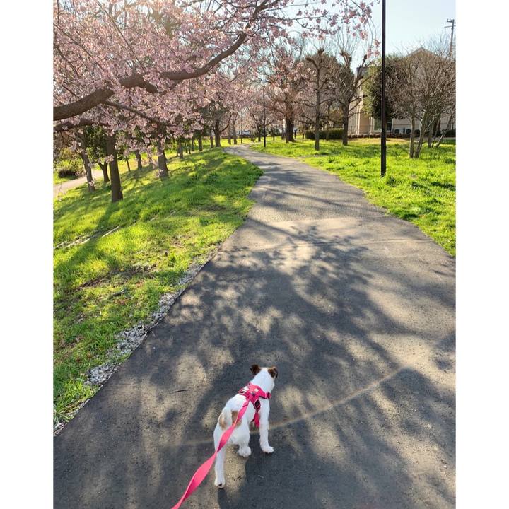 6e51c915 abc9 4988 b990 e372513f6870 1583932124316