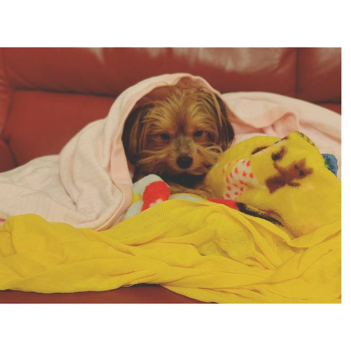 6e51d531 85b7 465e 9eab 0103424210dc 1568033229771