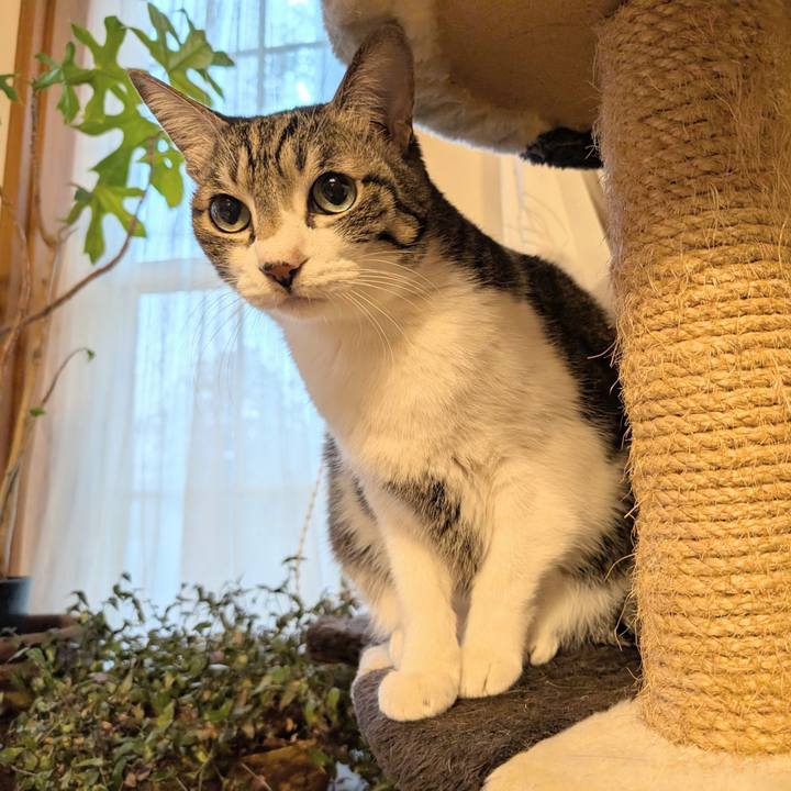 6e51d644 c7bb 4a4a 979a edd0f3eb5ee1 1771283641288