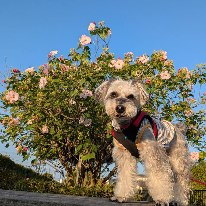 6e51da7e 4cfa 4bc1 ae50 8792579093b2 1759800235205