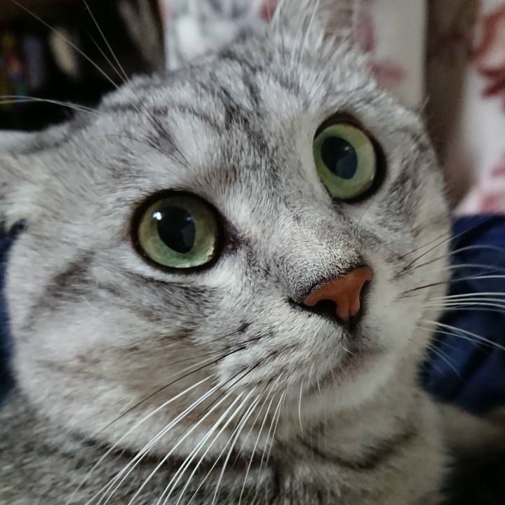 6e5231bf 81a4 4b51 8872 db3751bcee9f 1563115128891