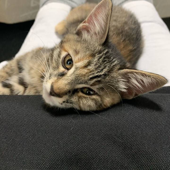 6e5266b1 942d 411f 9676 e776974bfff7 1592146278827