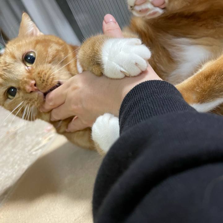 6e5287f8 8c88 48e0 932c 3d492cb345d2 1638187934201