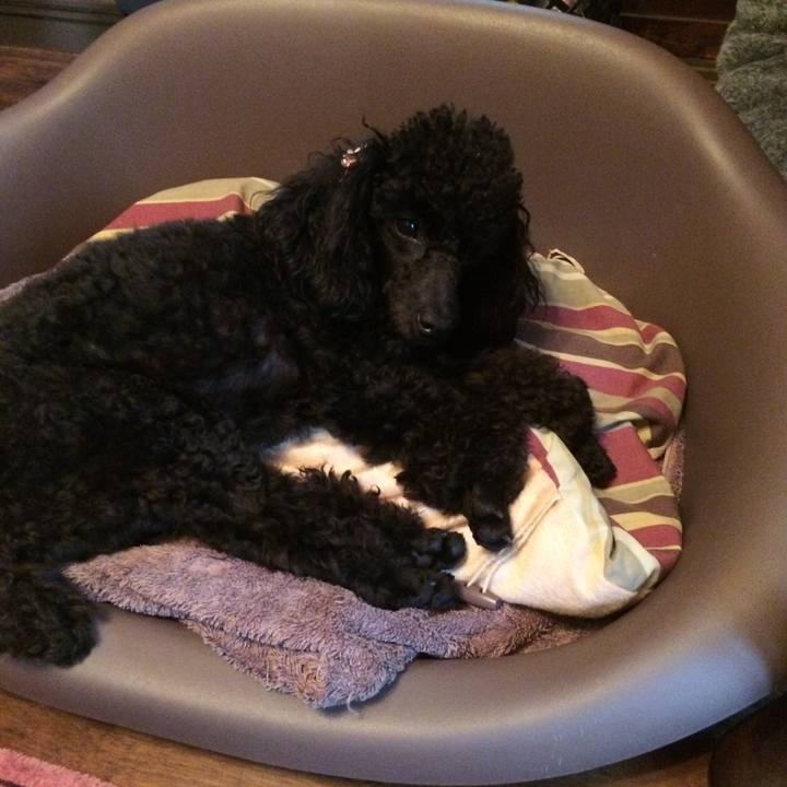 6e52a08f 0432 4025 b5f3 967a1db0ec7d 1536969345264