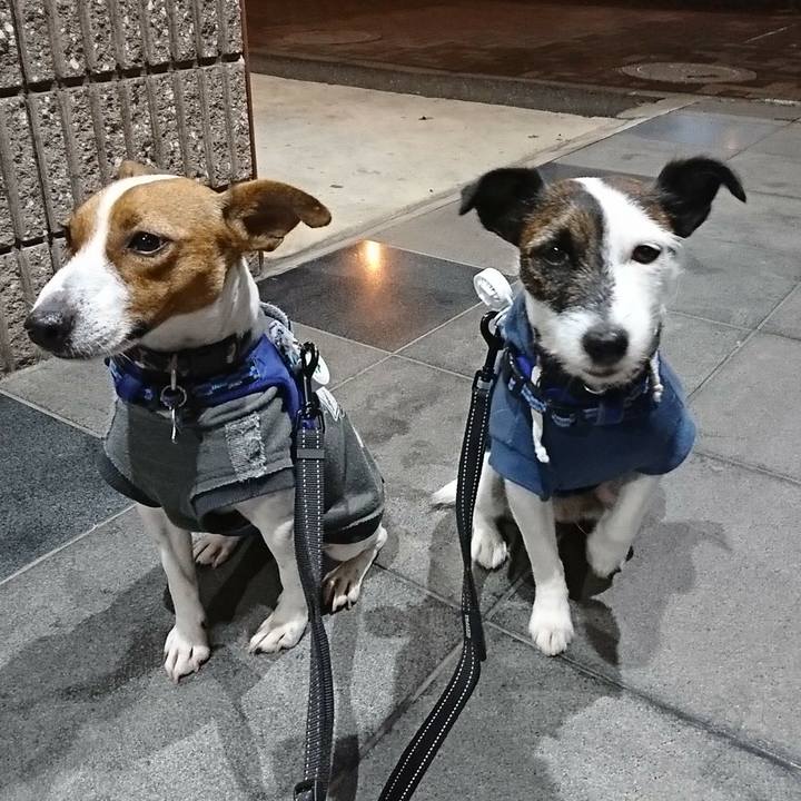 6e52b1fc 82ac 40dc 81b2 be1742afe125 1540295356004