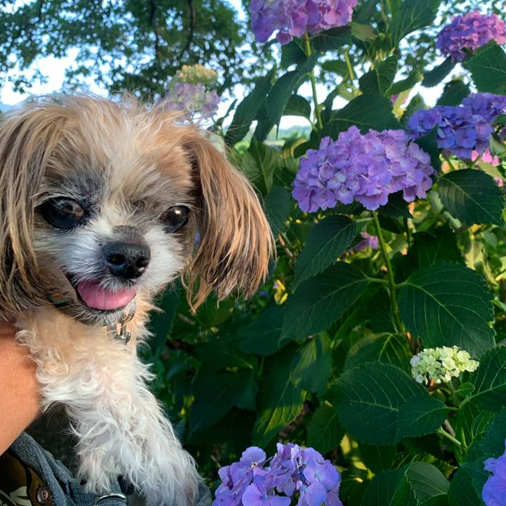 6e52d06d 3abd 4fcf 9f49 d9ba74a3655e 1751891599716