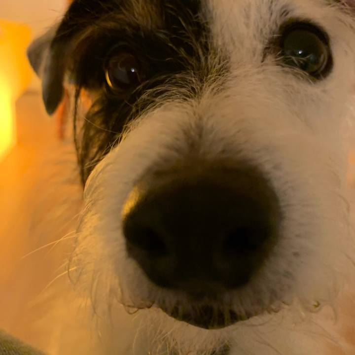 6e52ed74 2b30 4622 9640 eb85e7d3d213 1632734838811