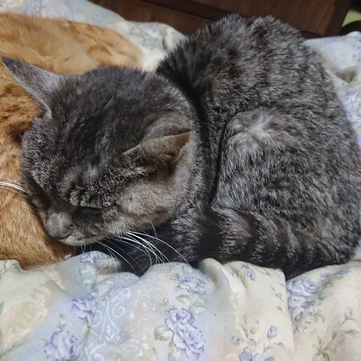 6e531eb3 eee8 4584 a00f 191596235af3 1579613479916