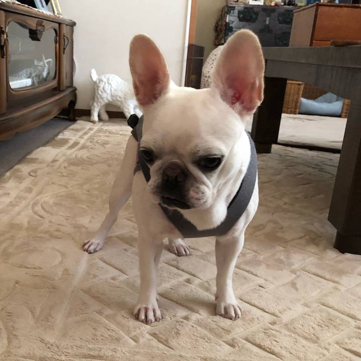 6e533c4b b5c0 4dc4 9e57 662e6e03341d 1568499030481