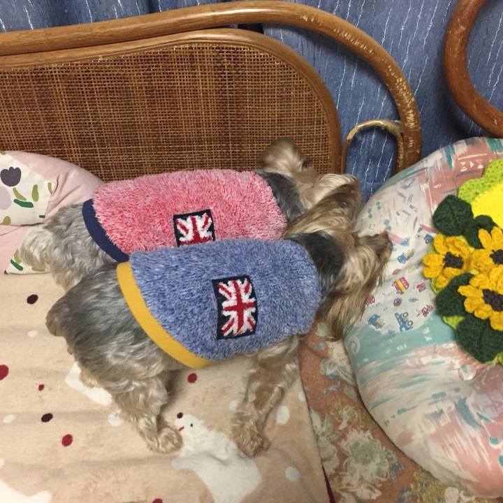 6e534a3a 6c4d 4ae7 92d2 8d39977aff0d 1544322669454