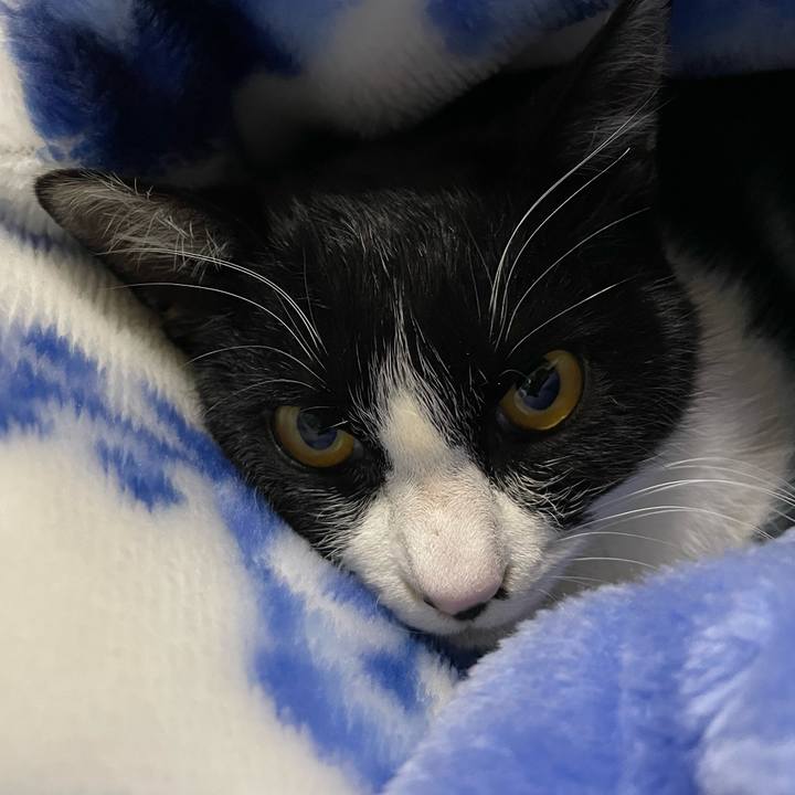 6e535c0d 90e6 4ce3 bed2 75777f69ae61 1677247341017