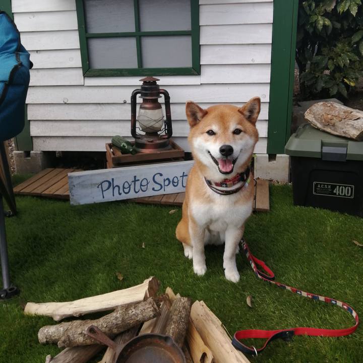 6e537978 6ff5 43b1 8387 440be70c2068 1680504173850