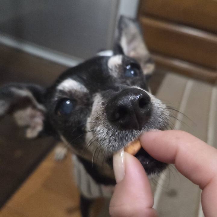 6e5381a9 66d2 46be 9400 07563bc19d8f 1757792406230