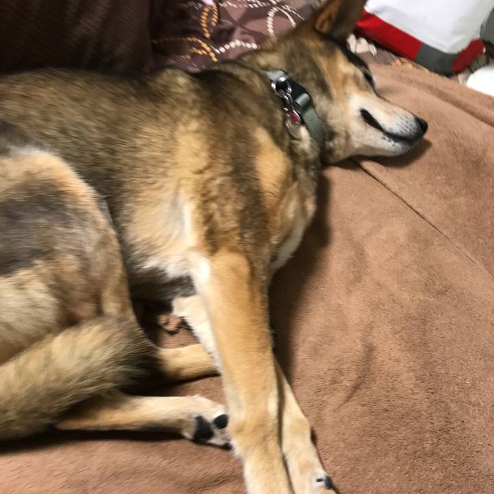 6e538b3a 5436 4fa6 875f c99615f2bace 1518174327447