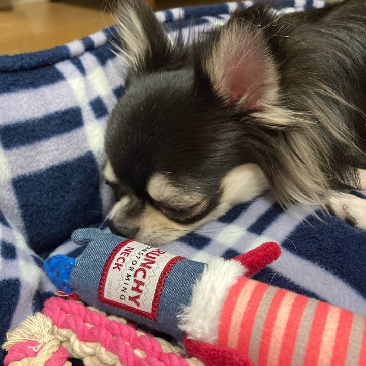 6e539376 d900 4a87 af57 1e7af9e0fdbd 1612623817068