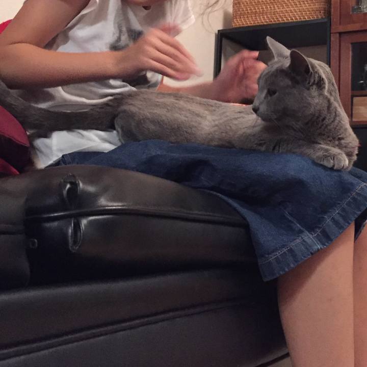 6e53ba07 5cfa 45cb 91da e4e17ab3c9bd 1560727128407