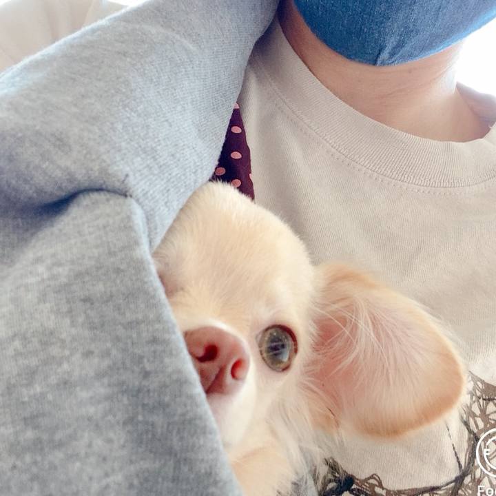 6e53ca72 3abb 4b14 842d 613d6fb61d14 1597716580913