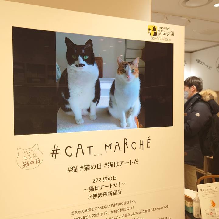 6e53ce89 aa61 4d2a 9f42 b3c5500e6ae7 1645612149922