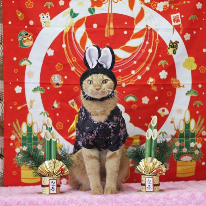 6e53e1f2 39af 4dd9 820d c9cf1d7971fe 1672292650074